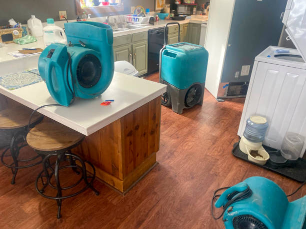 Best Basement water damage restoration  in Layhill, MD