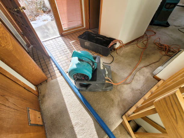 Best 24/7 water damage repair  in Layhill, MD