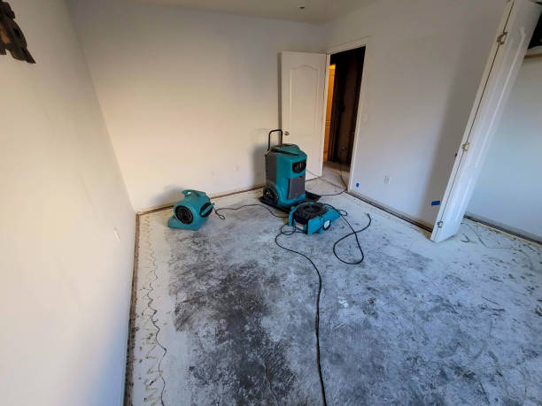 Best 24-hour water damage restoration  in Layhill, MD