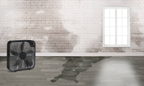 Best Water damage restoration cost  in Layhill, MD